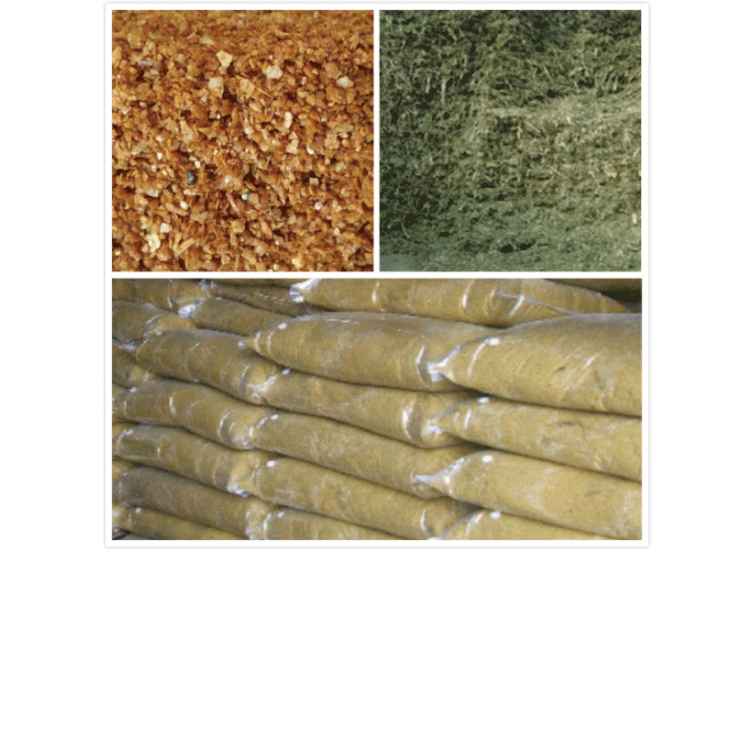 1503039250914244.png 未標(biāo)題-1.png