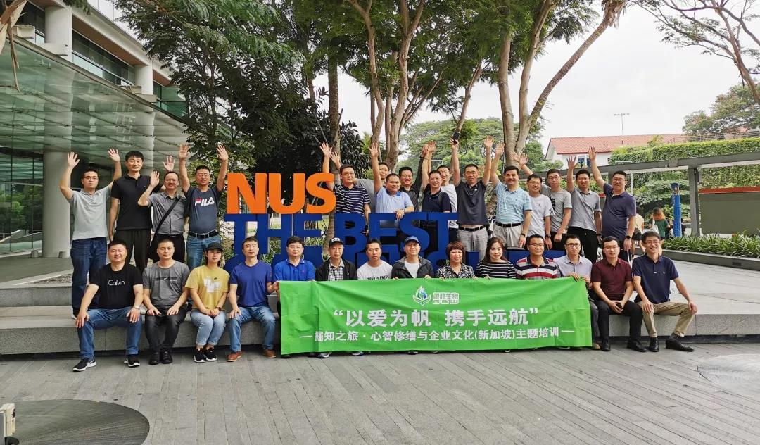 1576044948296906.jpg 5.jpg