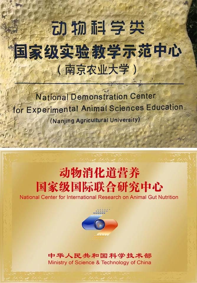 1580804160972889.jpg 1.jpg